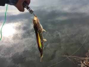 IMG_4807.jpg