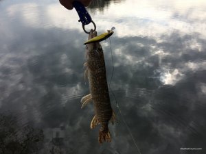 IMG_4809.jpg