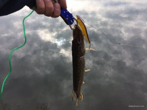 IMG_4808.jpg