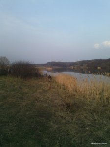 IMG_20170407_181649.jpg