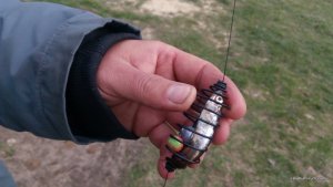 IMG_20170409_155151.jpg