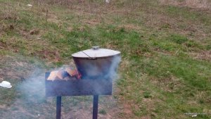 IMG_20170409_112006.jpg