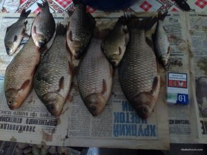 IMG_20170411_202040.jpg