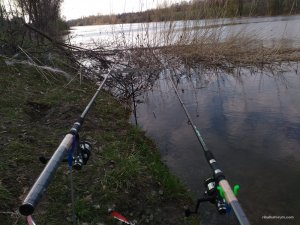 IMG_20170411_180953.jpg