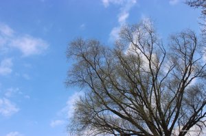 IMG_7369.JPG