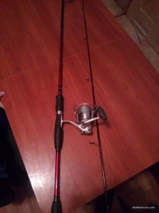 IMG_20170412_194019.jpg