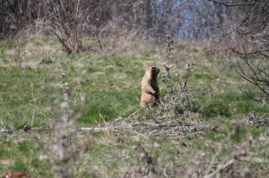 IMG_6253.JPG