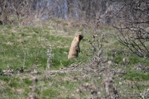 IMG_6254.JPG