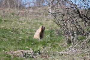 IMG_6261.JPG