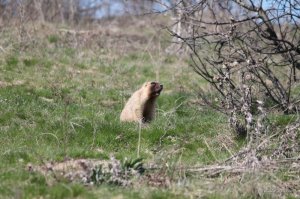 IMG_6263.JPG
