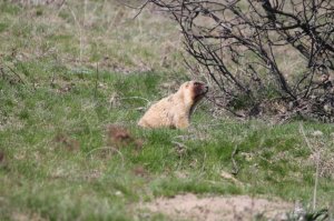 IMG_6266.JPG