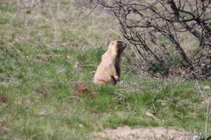 IMG_6269.JPG
