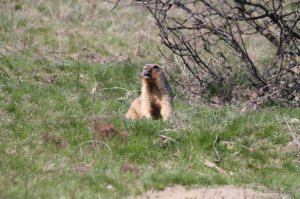 IMG_6279.JPG