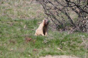 IMG_6281.JPG