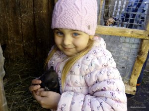 IMG_20170413_165930.jpg