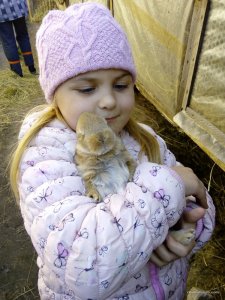 IMG_20170413_170017.jpg