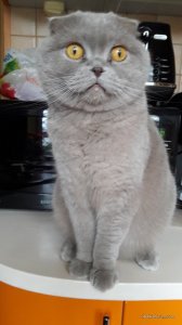 20170415_113855.jpg