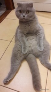 20170401_081234.jpg