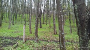 20170415_095233.jpg