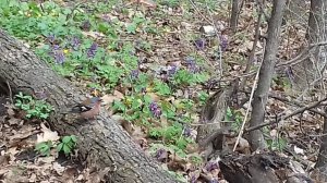 20170415_125009.jpg