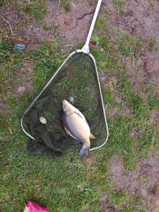 IMG_20170415_080845_1[1].jpg