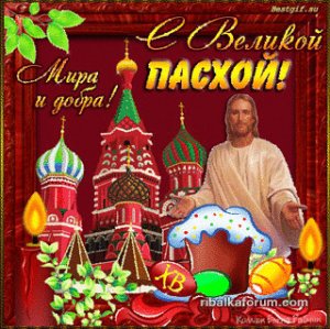 image-7.jpg