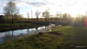 IMG_20170415_183954.jpg