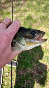IMG_20170416_100108_HDR.jpg