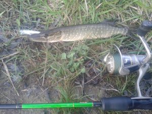 20170417_073324.jpg