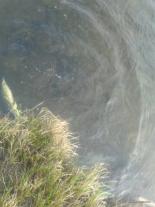 20170417_073528.jpg