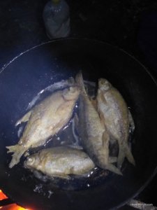 IMG_20170416_195945.jpg