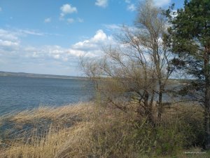 IMG_20170416_120320.jpg