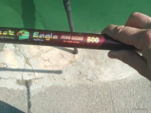 IMG_20170416_095500.jpg