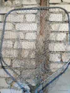 IMG_20170417_110839.jpg