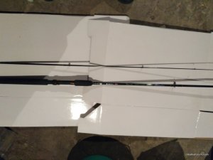 IMG_20170415_203645.jpg