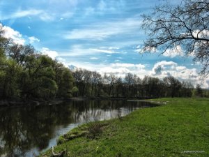 IMG_2090.JPG