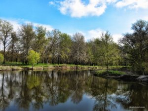 IMG_2092.JPG