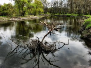 IMG_2096.JPG