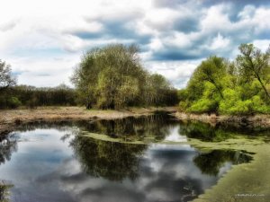 IMG_2097.JPG
