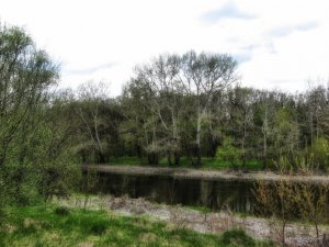 IMG_2103.JPG