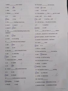 IMG_20170415_112632.jpg