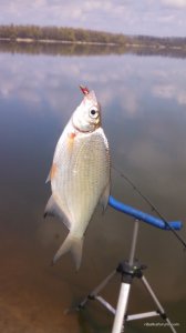 IMG_20170423_114655_534.jpg