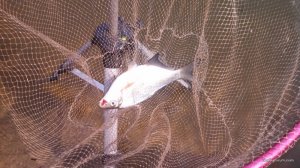 IMG_20170423_103416_172.jpg