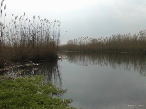 Foto0078.jpg