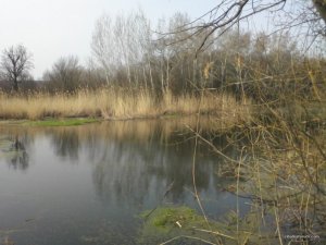 Foto0049.jpg
