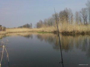 Foto0071.jpg