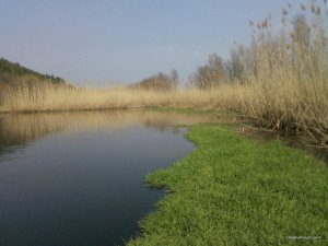 Foto0079.jpg
