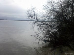 Foto0069.jpg