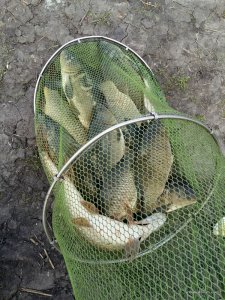20170425_172836.jpg