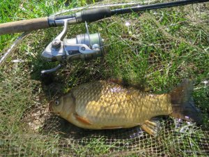 IMG_2223.JPG